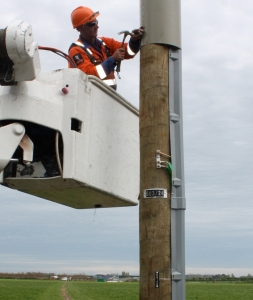 On Farm South Canterbury 2