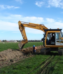 On Farm Mid Canterbury 3
