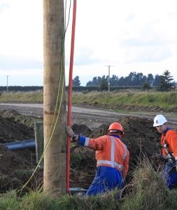 On Farm South Canterbury 8