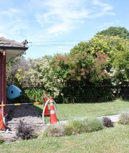 Residential South Canterbury 2